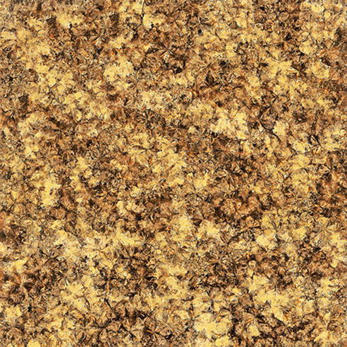 嫩草蜜桃在线视频陶2.0厚微晶石：浅金啡KFB88012单片
