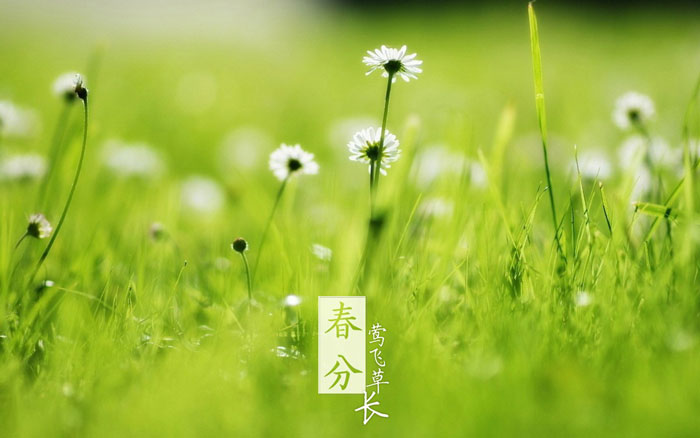即便是春风十里，依然不如你