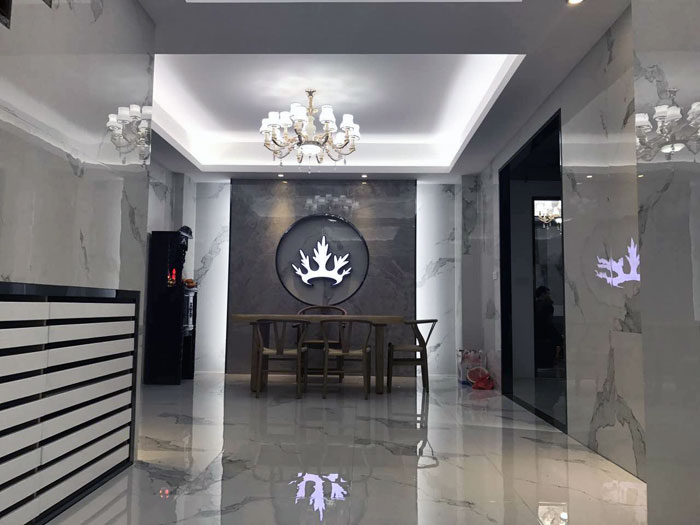 嫩草蜜桃在线视频陶瓷砖 揭阳榕城300方专卖店盛装开业，感受全新的视觉盛宴
